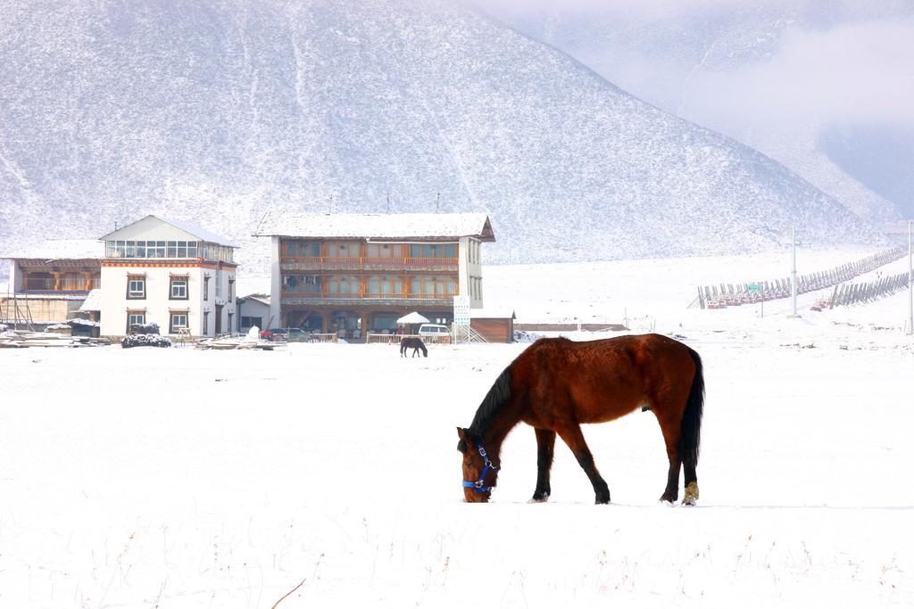 Shangri-La Lao Shay Youth Hostel Eksteriør bilde