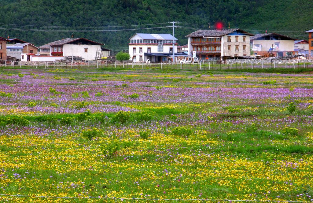 Shangri-La Lao Shay Youth Hostel Eksteriør bilde
