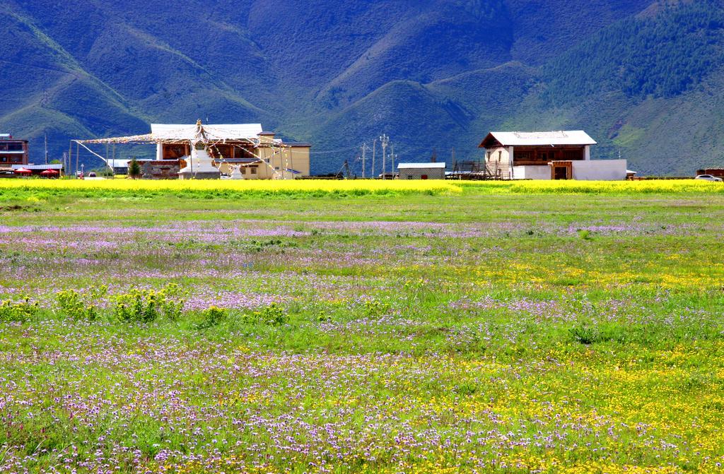 Shangri-La Lao Shay Youth Hostel Eksteriør bilde